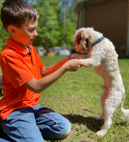 About Black Creek Doodles in Virginia - Havapoo and Cavapoo Puppies